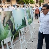 Photo exhibition opens door to Colombia
