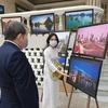 Art exhibition bridges Vietnam and Egypt