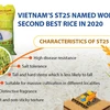 Vietnam’s ST25 named world’s second best rice in 2020