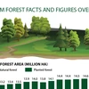 Vietnam forest facts and figures over years