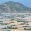 Binh Ba – ‘Island of lobster’ on Cam Ranh Bay