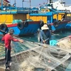 Full team effort needed to remove EC’s ‘yellow card’ on Vietnamese seafood