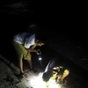 Tourists hunt rock crabs on Ly Son island