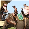 M’nong elephant worship in DaK Lak