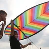 Colourful kites flaunt beauty at competition