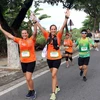 Manulife Da Nang International Marathon 2019
