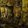 Van Trinh Cave in Ninh Binh province
