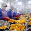 Vietnam strengthens goods traceability 