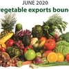 Fruit, vegetable exports bounce back