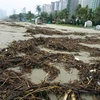 Da Nang: beach cleaned up after heavy storm