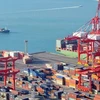 Trade surplus hits record in 10 months
