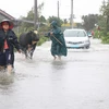 Storm Etau inundates, isolates urban areas in Phu Yen, Dak Lak