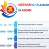 Vietnam's hallmarks in ASEAN