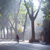 Hanoi listed among world’s best 10 cities for cycling enthusiasts
