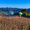 Ha Giang expects to welcome 1.4 million visitors in 2020