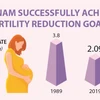 Vietnam successfully achieves fertility reduction goals
