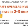 Vietnam's overseas investment rises by 2-3 times 