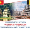 Vietnam- Belgium relations develop unceasingly