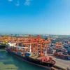 High sea freight rates hurting businesses