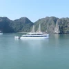 Cat Ba listed among must-visit national parks by US website