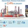 Industrial production index up 2.4 percent in January