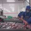 Pangasius exports exceed expectations