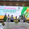 Dong Thap exports first batch of mangoes to Europe in 2022