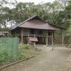 Muong ethnics preserve stilt houses for tourism development