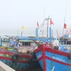 Fishing regulations promoted among Ha Tinh fishermen