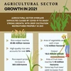 Agriculture sector growth in 2021