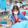 Garment-textile exports set to hit 45.7 billion USD this year