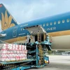Air freight gains serious altitude in Vietnam: Nikkei