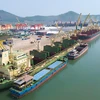 Long Son container port No. 3 expected to bring benefits to Thanh Hoa province