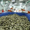 Ample room to grow and develop Vietnamese clam exports