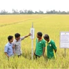 Vietnam’s agricultural sector sows green values