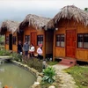 Homestay tourism in Sa Pa attracts visitors