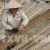 Rice paper remains a foothold in Vietnamese minds