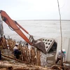 Ca Mau sea dyke at risk of breaching