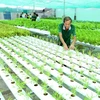 Agriculture sector expands by 2.02 pct in nine months