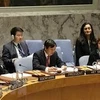 Vietnam successfully fulfils role as President of UNSC in January 