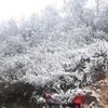 Mountainous region covered with frost 