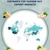 (Interactive) Vietnam’s top cashew nut export markets