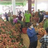 Vietnam boosts lychee, agricultural exports to US