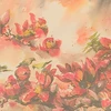 Painting exhibition depicts Vietnam’s spring beauties