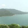 Da Nang moves to exploit tourism potential of Son Tra Peninsula 