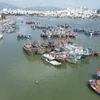 Tuna exports enjoy strong increase