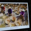 Quang Nam hosts exhibition on Vietnamese cultural heritage