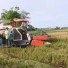 Vietnam posts two-fold growth in agricultural trade surplus 