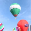 Hot Air Balloon Festival opens in Ho Chi Minh City