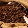 Vietnam remains world’s second-largest coffee exporter